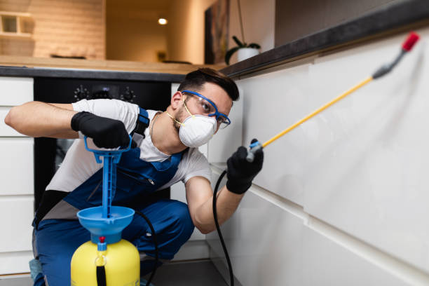 Flea Control Services in Midway North, TX