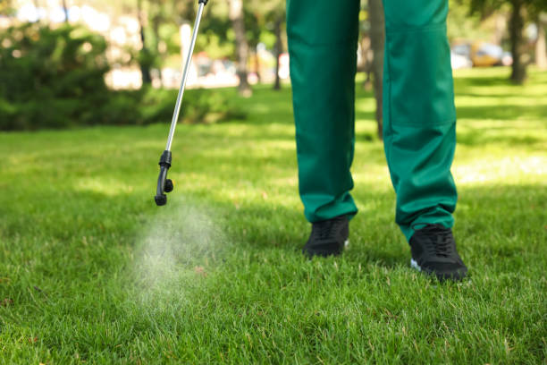 Best Flea Control Services  in Midway North, TX