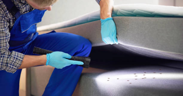 Best Pest Inspection Near Me  in Midway North, TX