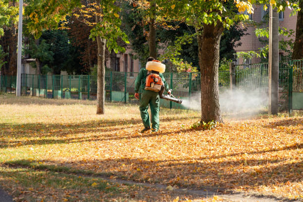 Best Commercial Pest Control Services  in Midway North, TX